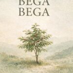 BEGA BEGA
