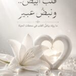 قلب أبيض